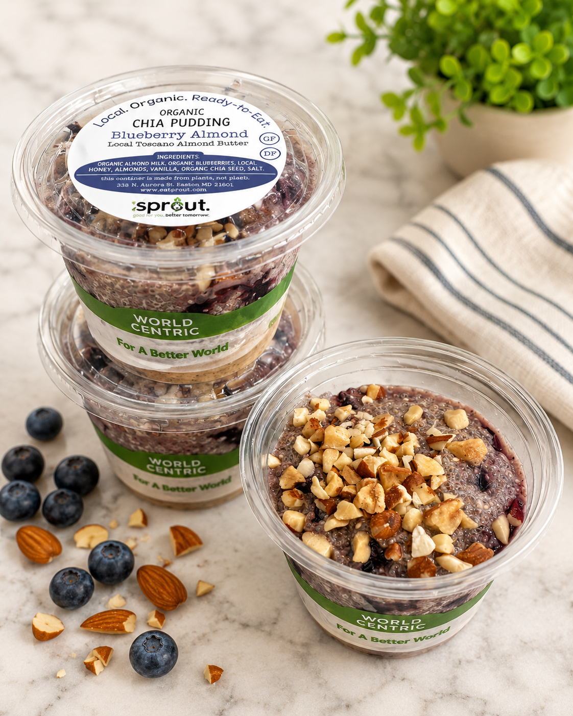 CHIA PUDDING - Blueberry | Almond (GF) ( DF)
